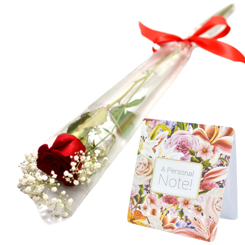 Single Red Rose with Message Card – SUN ONLINE