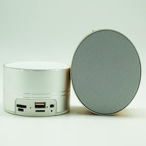 Bluetooth Speaker (Silver Colour)